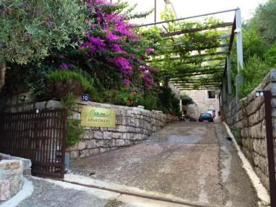 Guest House Maslina - 11