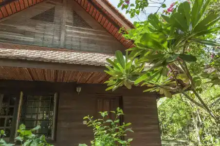 Palm Village Resort & Spa - 0