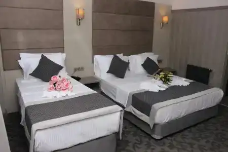 Anka Premium - 2