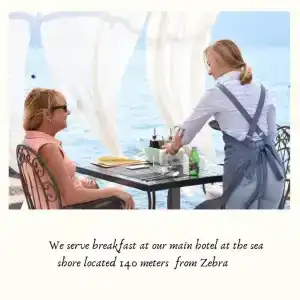 Apart Zebra - 23