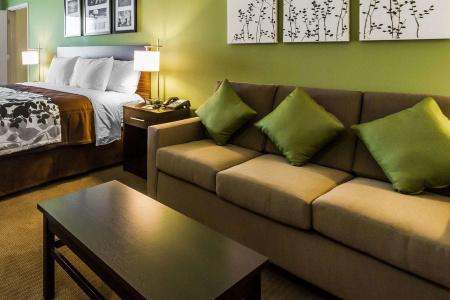 Sleep Inn & Suites - 5