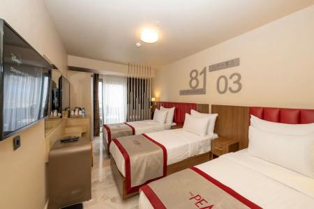 Ramada by Wyndham Istanbul Pera - 84
