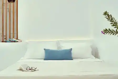 Finikia Memories - 3