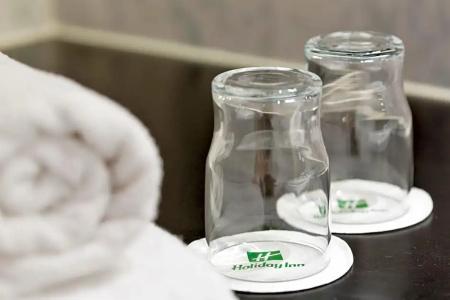 Holiday Inn Vienna City, An Ihg - 135