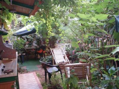The Garden - 13