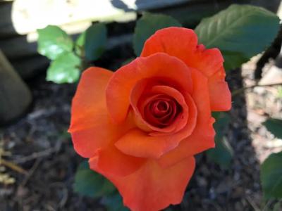 Half Moon Bay - 51
