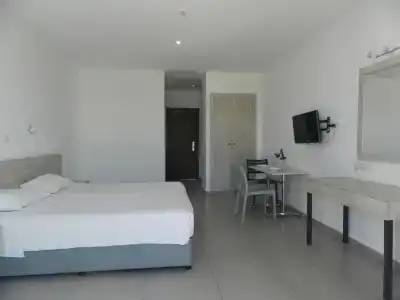 Evabelle Napa - 2
