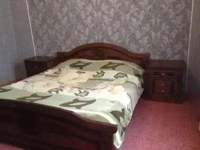 Георгина - 10