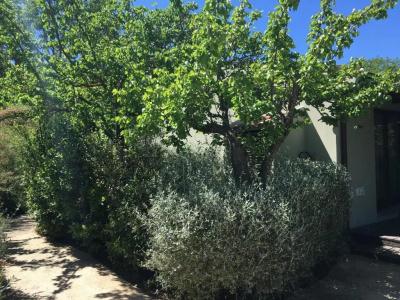 Camping Village Rocchette - 22