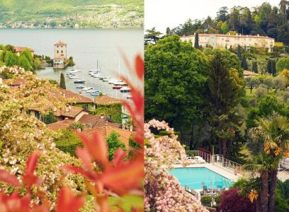 Belvedere - 17