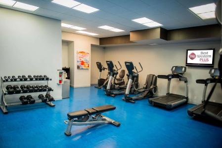 Best Western Plus Village Park Inn - 26