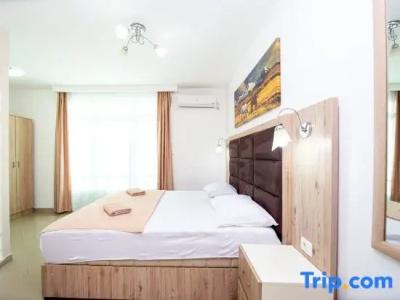 Apartment Sofija - 103