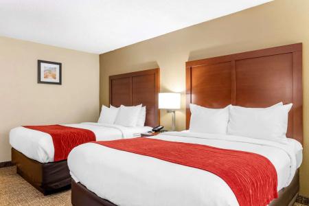 Comfort Inn & Suites North I-75 - 5