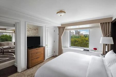 The Ritz-Carlton New York, Central Park - 74