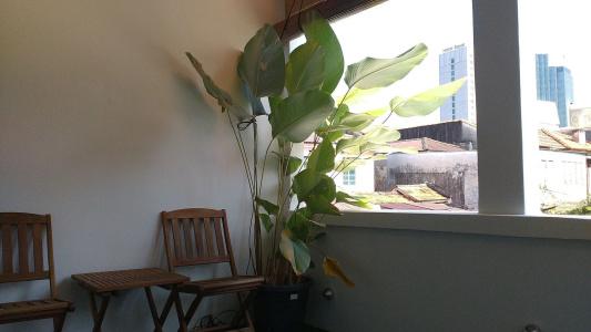 Rangoon Residence @ - 7