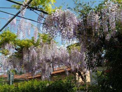 Albergo Le Giraffe - 9
