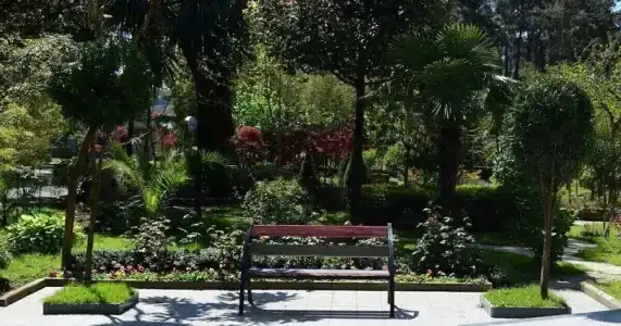 Kolkhida Resort & Spa - 7