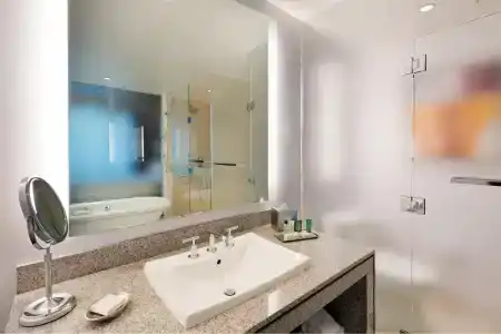 Hilton Club West 57th Street New York - 9