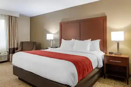 Comfort Inn & Suites North I-75 - 28