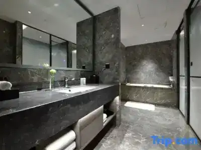 Novotel Xi'An Scpg - 91