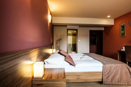 Comfort with free Wellness and Fitness Centrum - 34