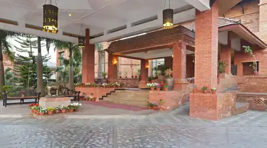 Bar Peepal - 46