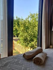 Gaia Tiny Houses Butik - 36