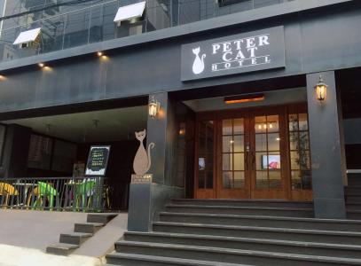 Petercat Shinchon - 15