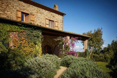 Agriturismo Boschi di Montecalvi - 219