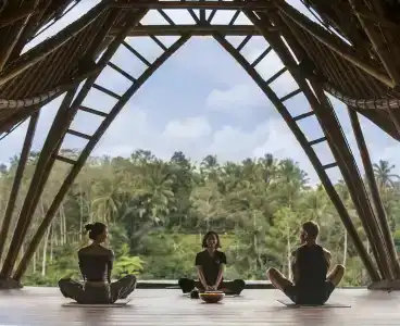 The Kayon Jungle Resort - 22