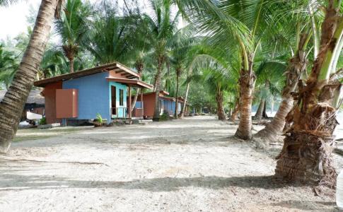 Tiger Hut - 10