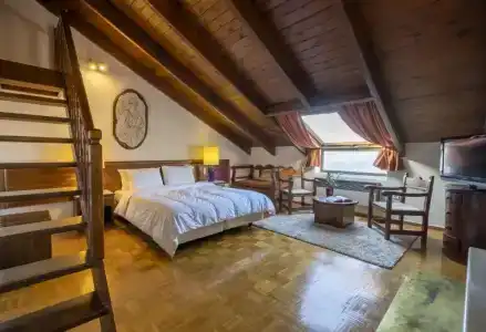 Domotel Anemolia Mountain Resort - 150