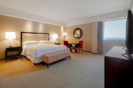 Sheraton Grand Rio & Resort - 225