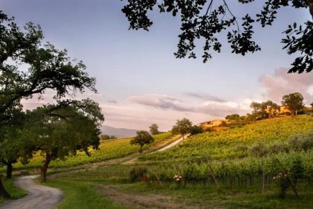 Altarocca Wine Resort Adults Only - 71