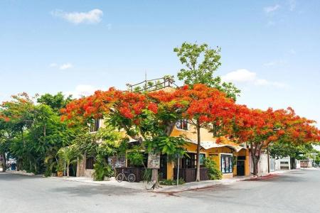 Maison Tulum - 9