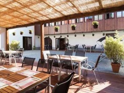 Restaurant Darwin - 16