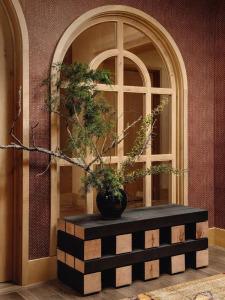 Austin Proper, a Member of Designs - 0