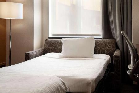 Hilton Garden Inn Long Island City - 34