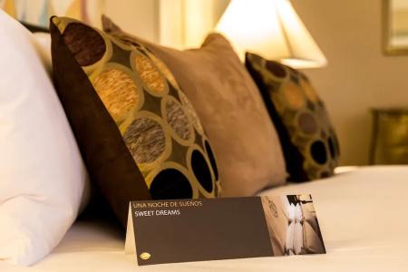 Intercontinental Buenos Aires, An Ihg - 72