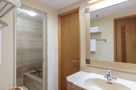 DoubleTree by Hilton Naha Shuri Castle - 84