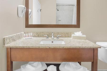 Ramada by Wyndham Denver International Airport - 8