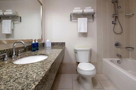 Four Points by Sheraton & Conference Center - 50