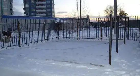 Гайва - 11