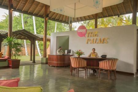The Palms - 14