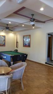 Relaxia Olivina - 12