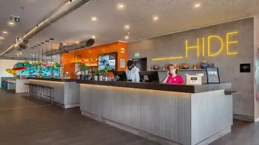 the niu Hide - 36