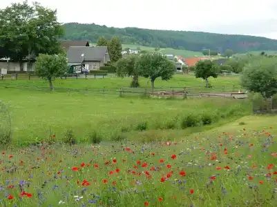 Hoxter Am Jakobsweg - 18