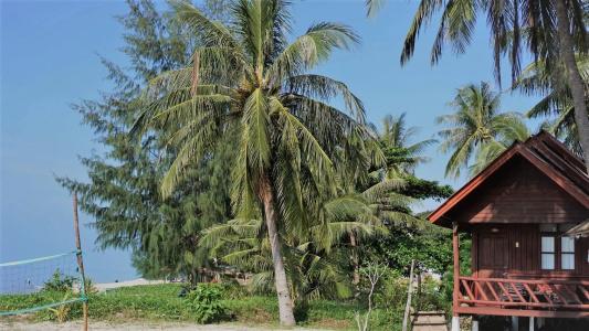 Morning Star Resort - 202