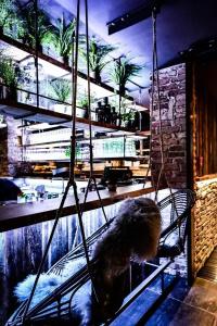 Eder - Lifestyle - 3