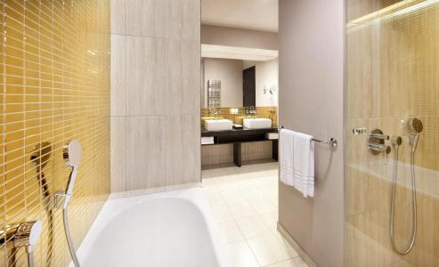 Radisson Blu Prague - 10